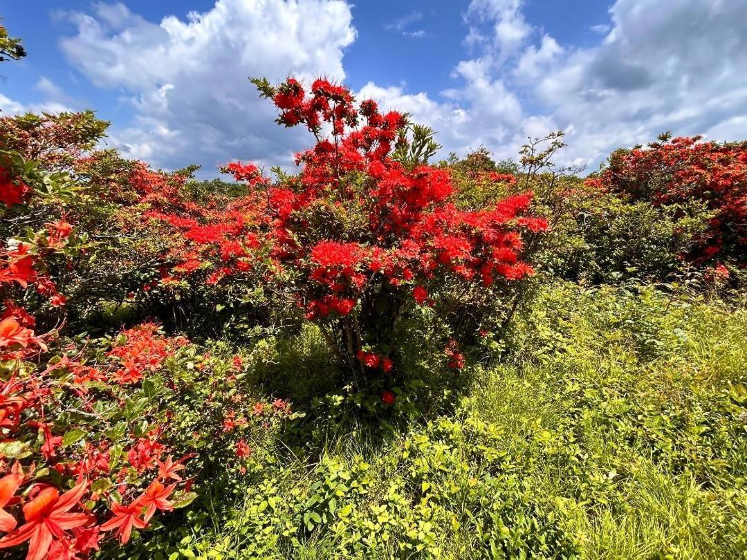 Almost Heaven #2 Pigeon Forge Bagian luar foto